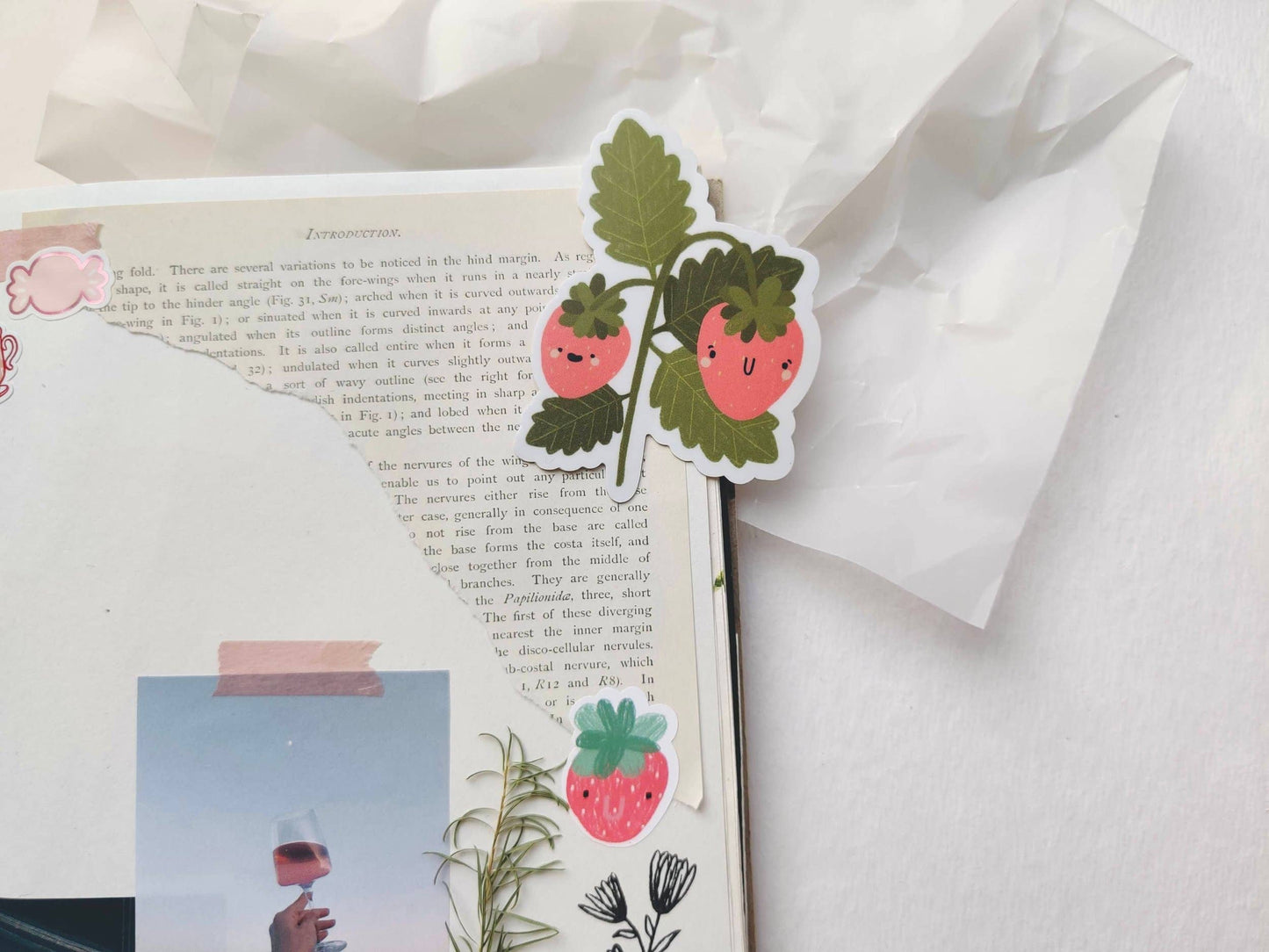 Strawberry Friends Die Cut Sticker Full Bloom and Co.