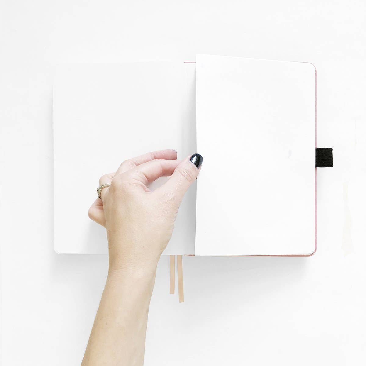 Wild Periwinkle Notebook Archer and Olive