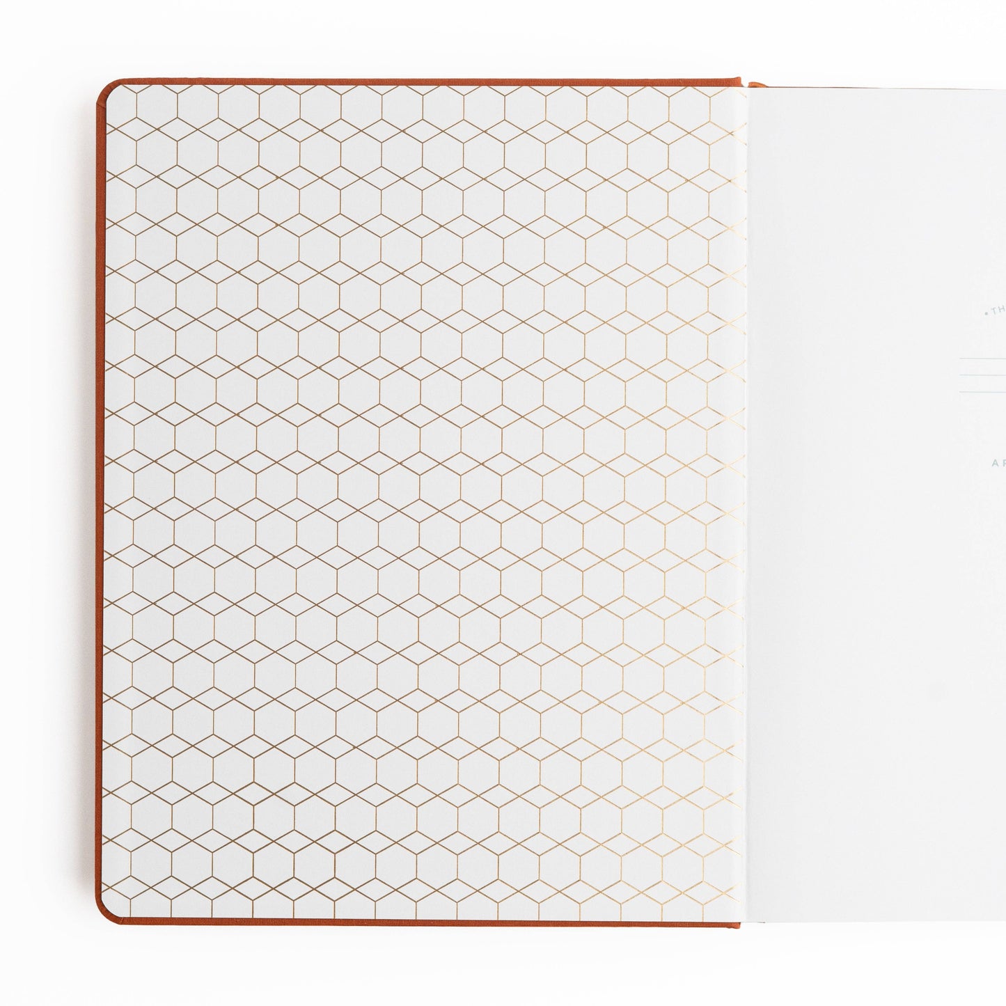 Keeper of the Bees Dot Grid Notebook in Rust Archer and Olive