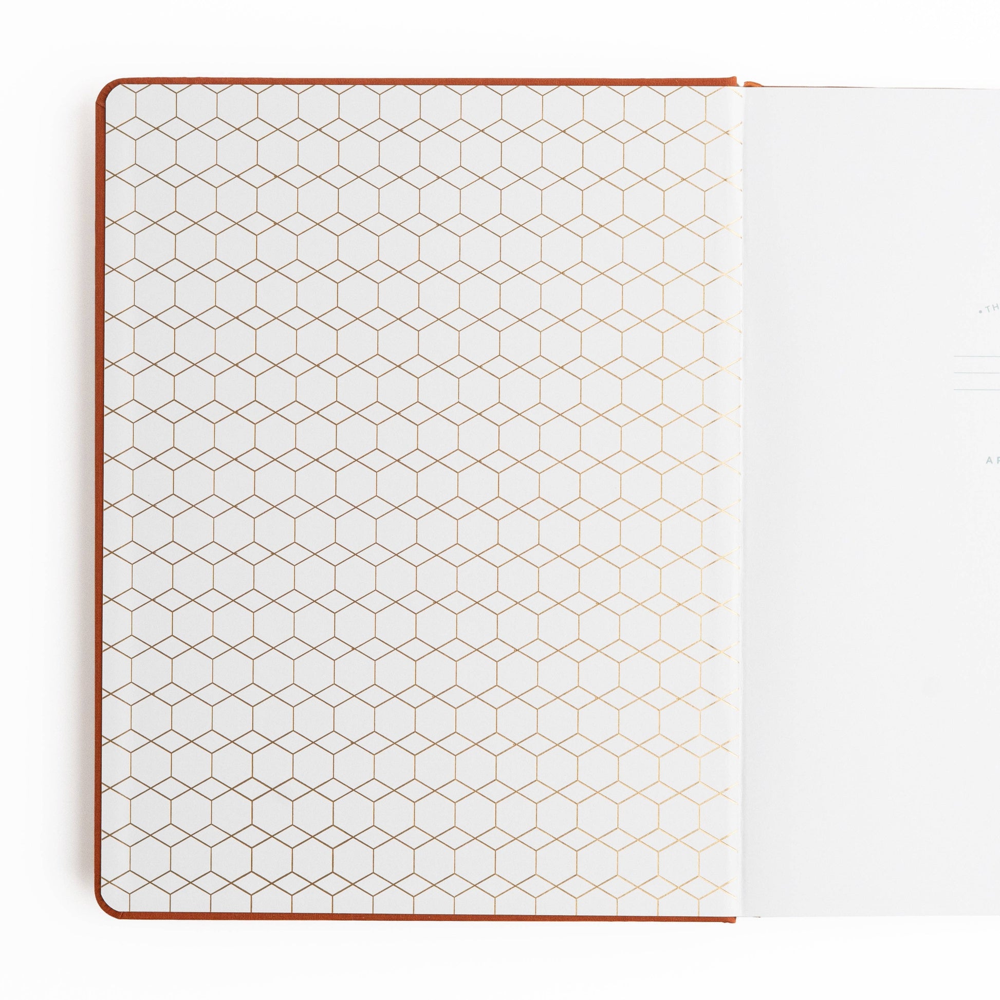 Keeper of the Bees Dot Grid Notebook in Rust Archer and Olive