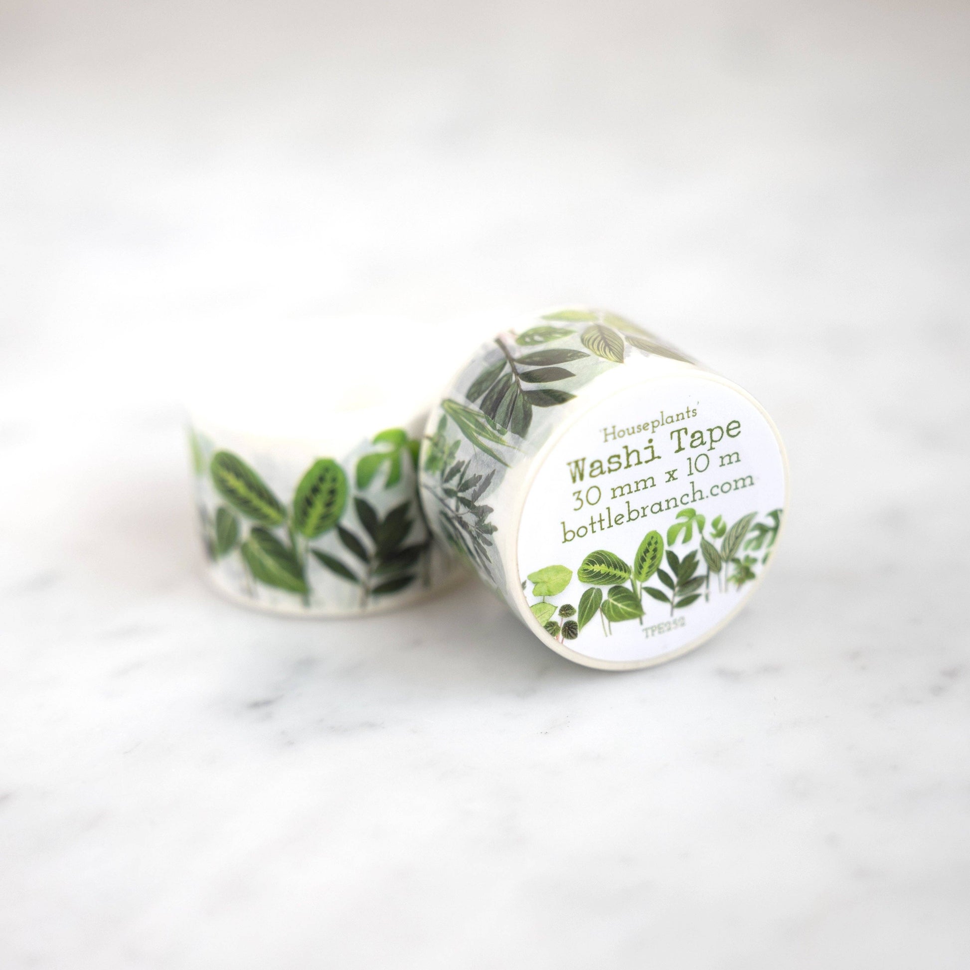 Washi - Houseplants Bottle Branch
