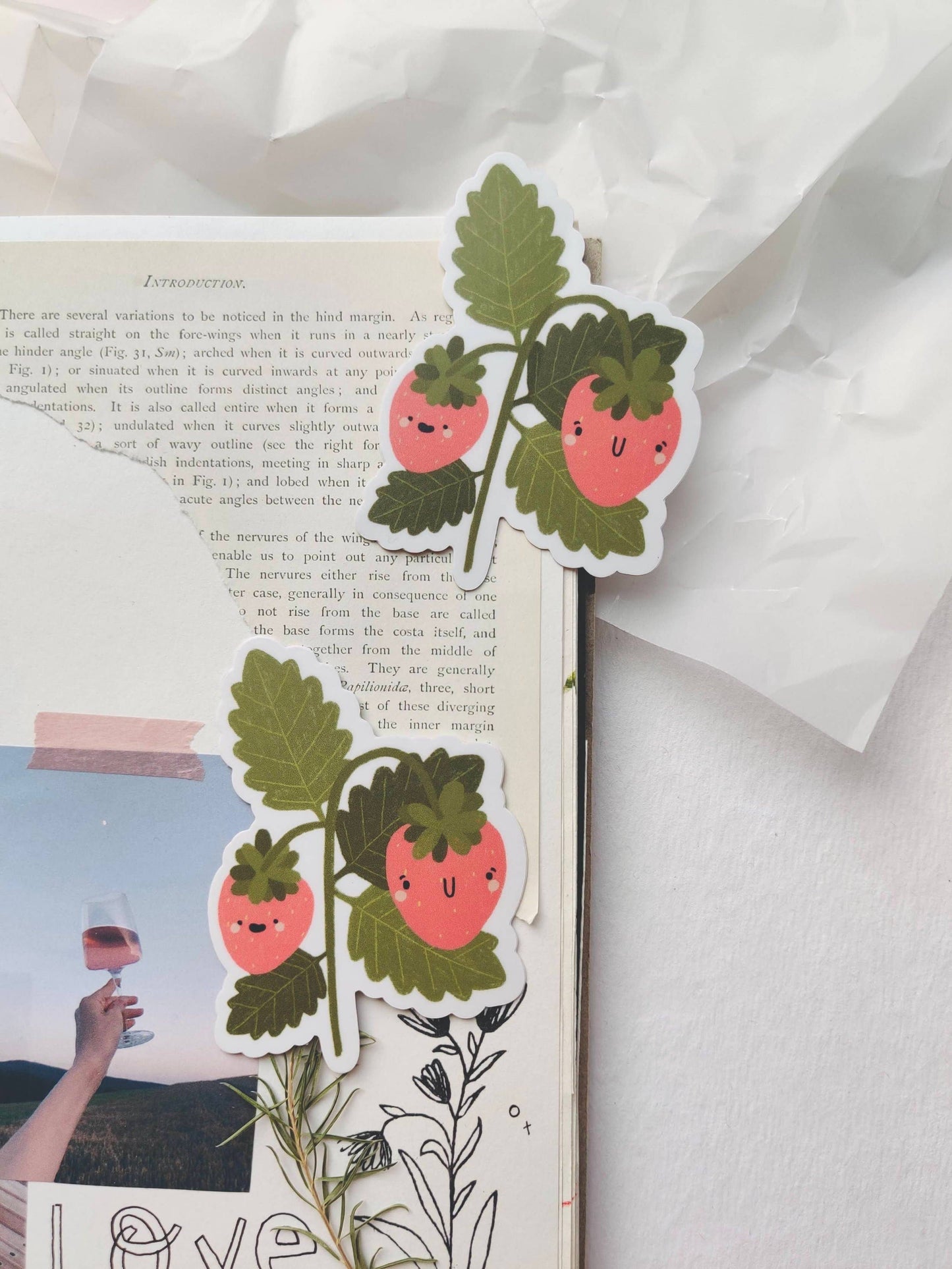 Strawberry Friends Die Cut Sticker Full Bloom and Co.