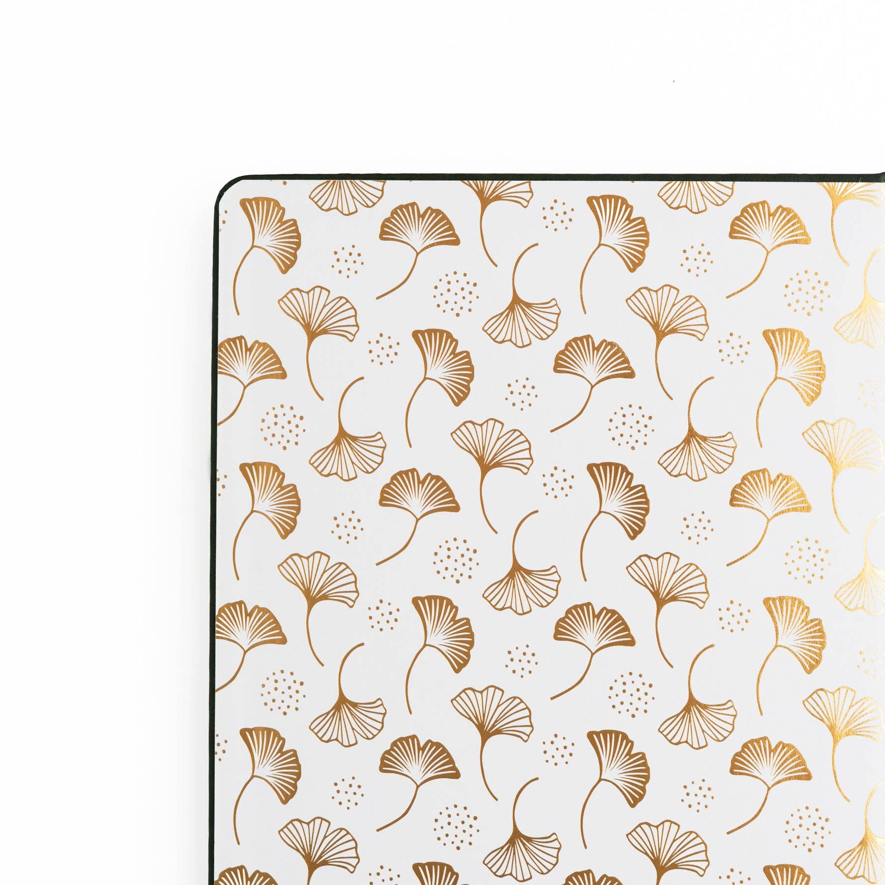Limited Edition B5 Notebook: Ginkgo Leaf Archer and Olive