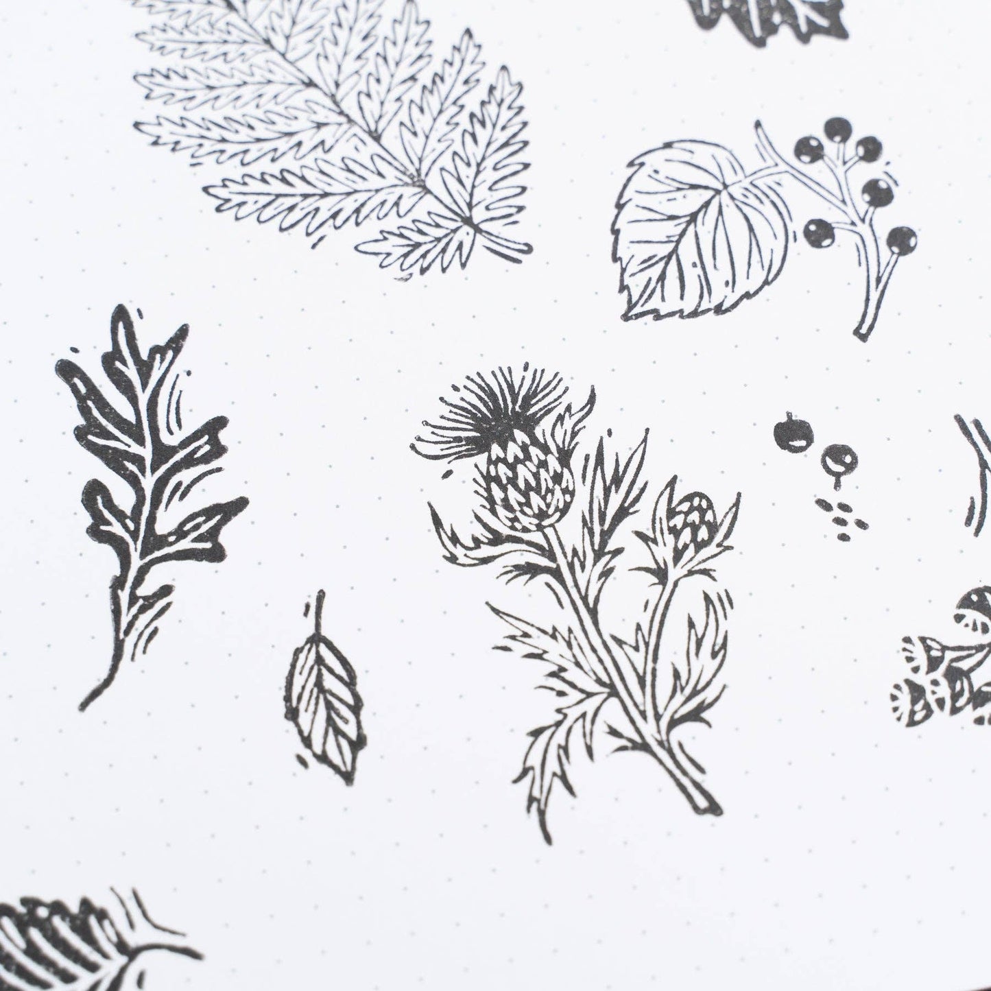 Acrylic Stamps: Forest Foliage Archer and Olive