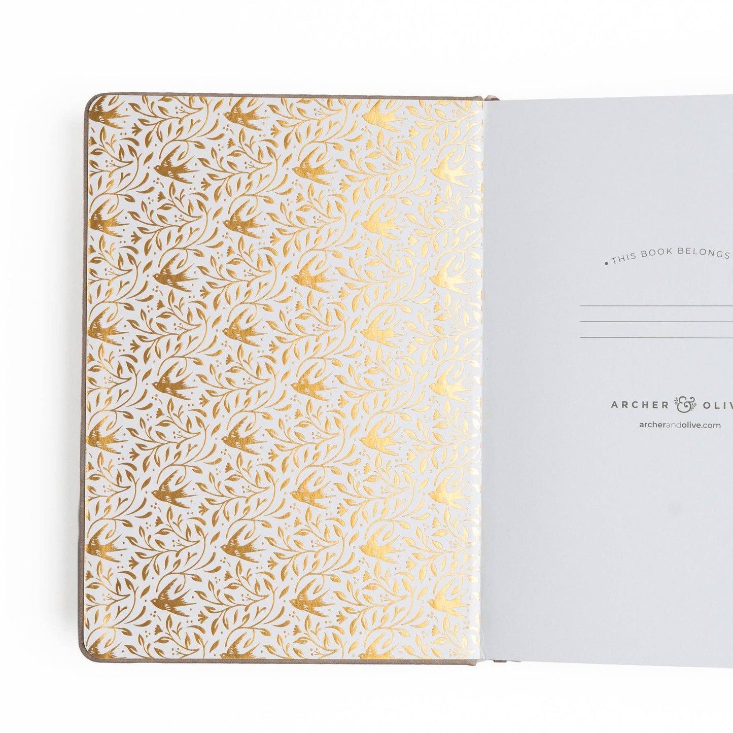 B5 Dot Grid Notebook: Songbird Archer and Olive