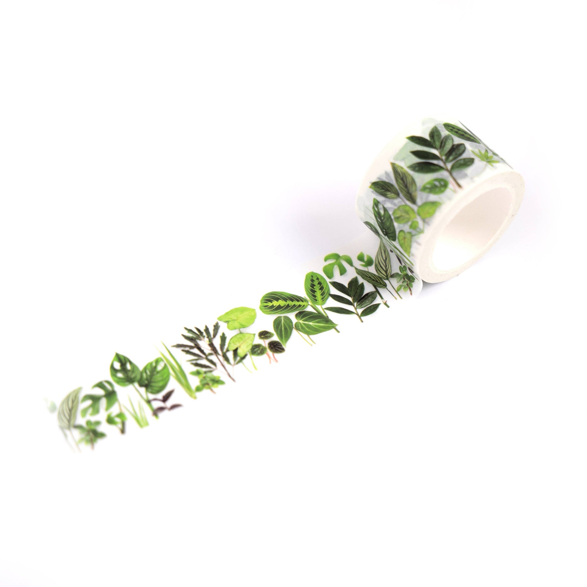 Washi - Houseplants Bottle Branch