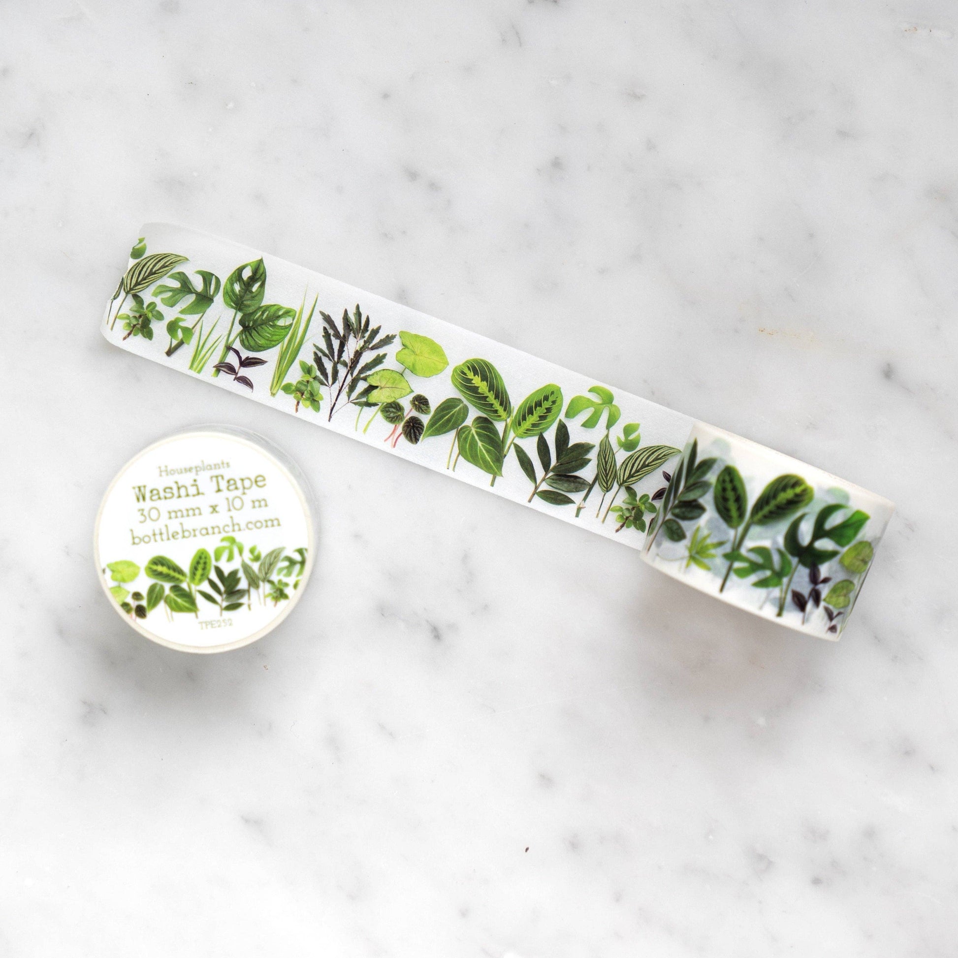 Washi - Houseplants Bottle Branch