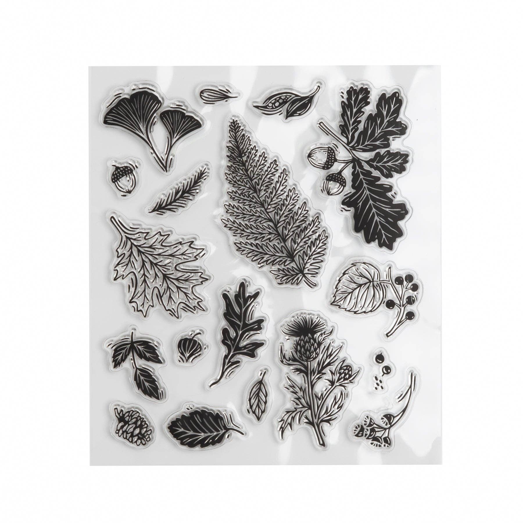 Acrylic Stamps: Forest Foliage Archer and Olive
