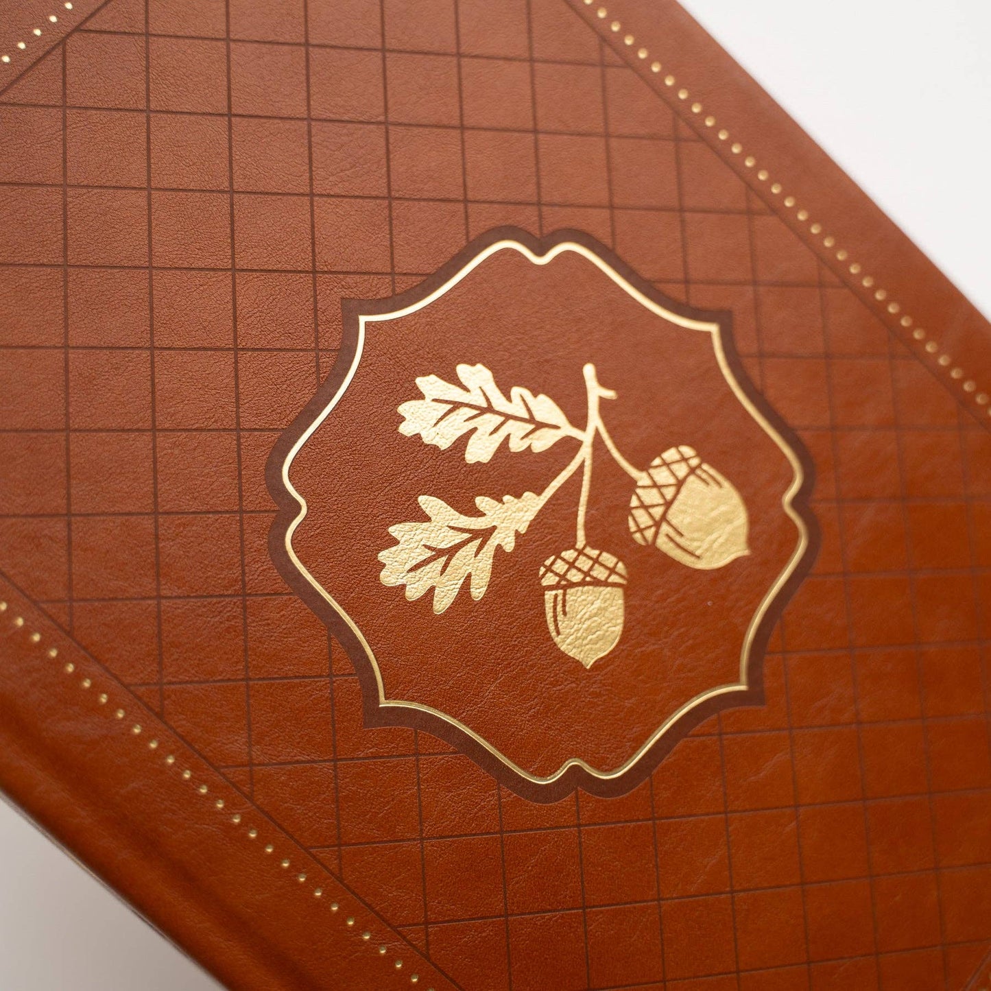 B5 Acorns Dot Grid Notebook Archer and Olive