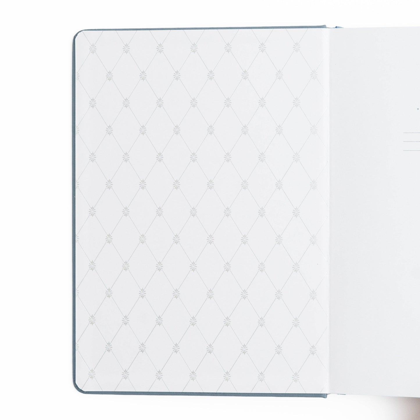 Special Edition Notebook: Castle Archer and Olive