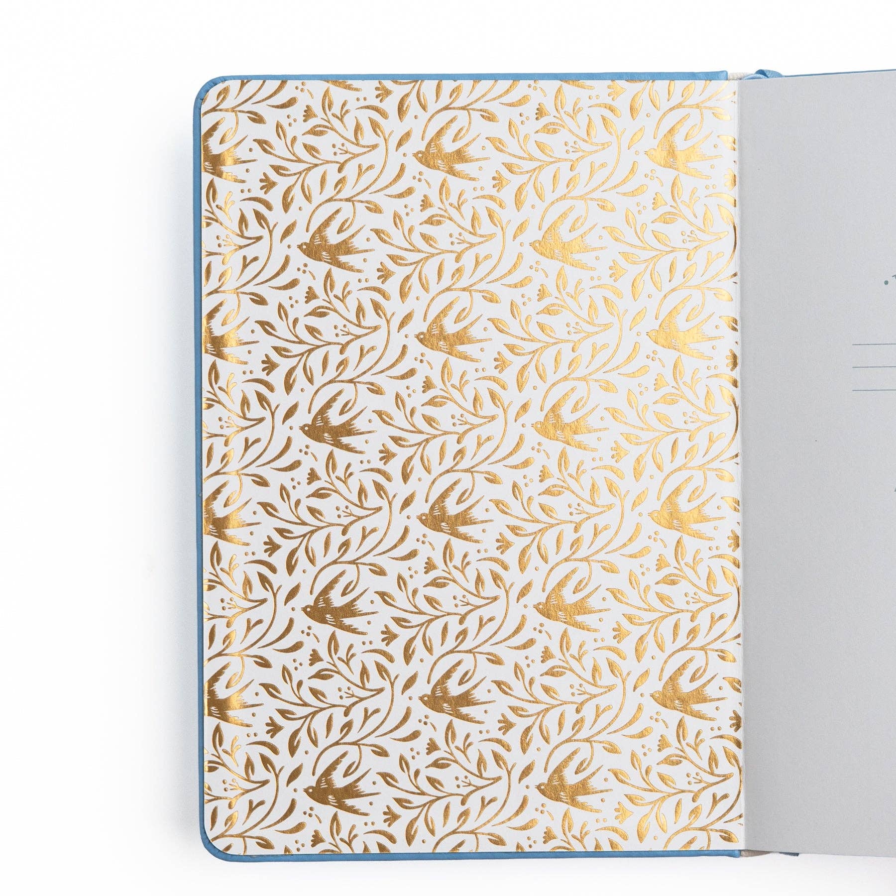 Songbird In Blue Dot Grid Notebook Archer and Olive
