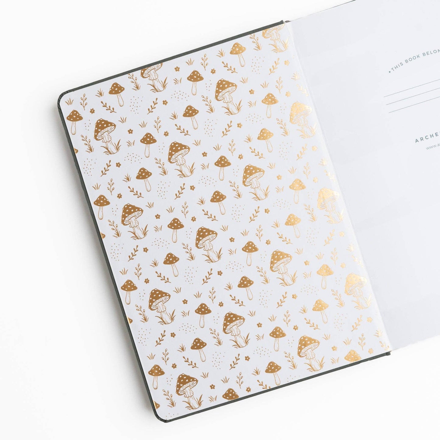 Limited Edition B5 Notebook: Mushrooms Archer and Olive