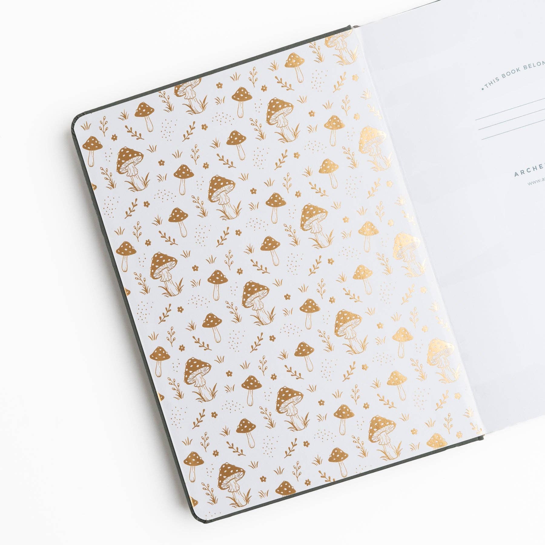Limited Edition B5 Notebook: Mushrooms Archer and Olive